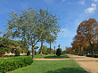 Parkanlage und Wege im Parc Ciutadella Fotos