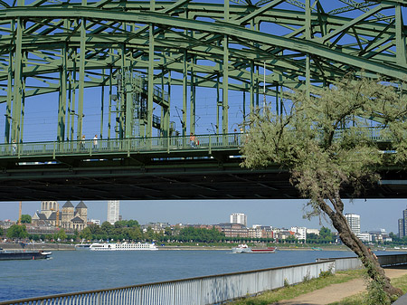 Foto Hohenzollernbrücke mit Baum - Köln