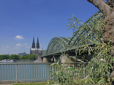 Hohenzollernbrücke am Kölner Dom Fotos