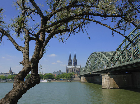 Fotos Hohenzollernbrücke am Kölner Dom