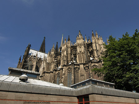 Fotos Kölner Dom mit Dombauhütte