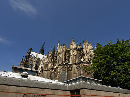 Kölner Dom mit Dombauhütte