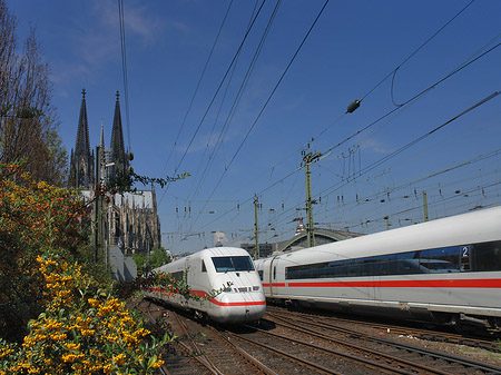 Fotos Kölner Dom mit ICE