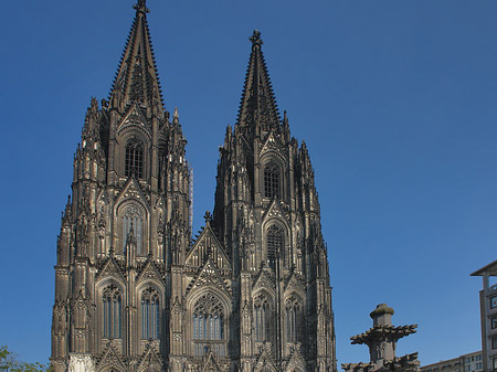 Kreuzblume vor Kölner Dom