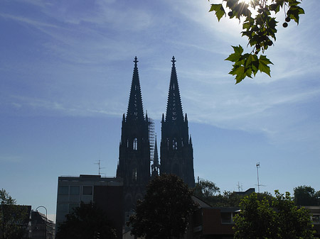 Foto Kölner Dom