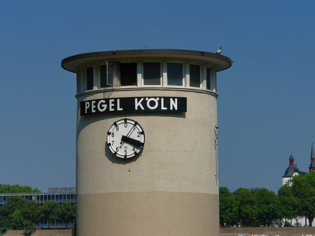 Foto Pegel Köln