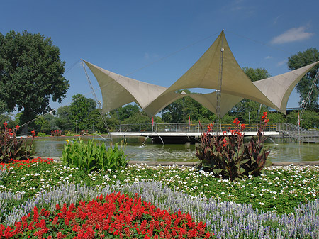 Tanzbrunnen im Rheinpark Foto 