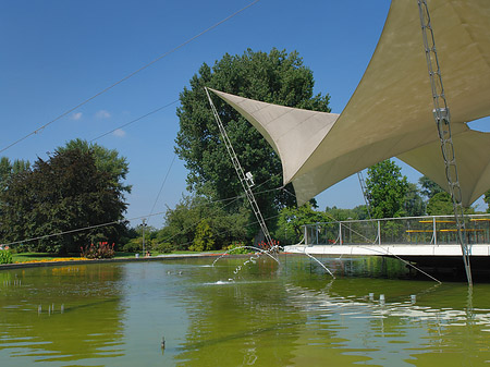 Foto Tanzbrunnen im Rheinpark - Köln