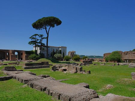 Fotos Domus Augustana und das Museo Palatino