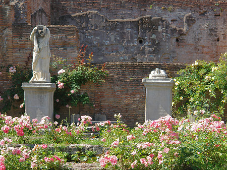 Fotos Tempel der Vesta