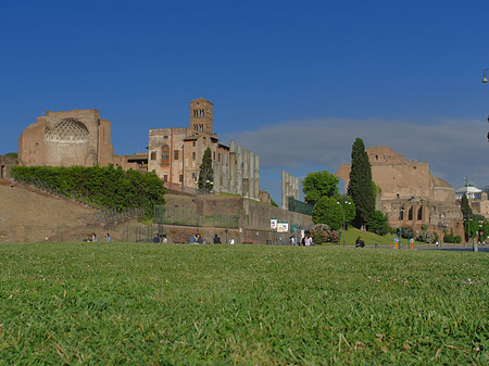 Tempel der Venus