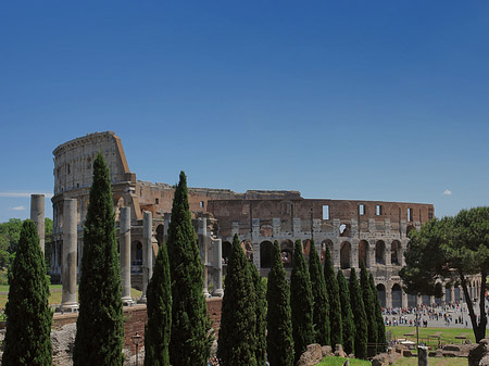 Kolosseum mit dem Forum Romanum