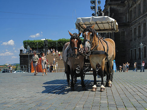 Fotos Pferdekutsche | Dresden