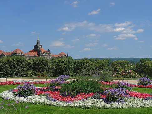 Fotos Brühlscher Garten | Dresden