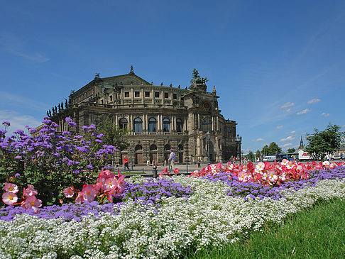 Semperoper mit Blumen