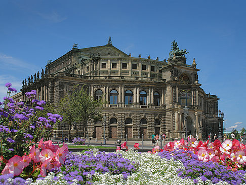 Fotos Semperoper mit Blumen | Dresden