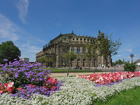 Semperoper mit Blumen