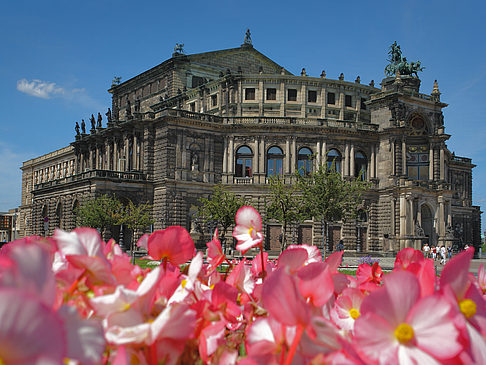 Fotos Semperoper mit Blumen