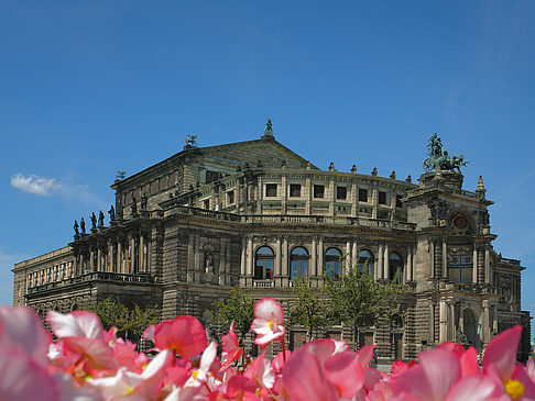 Foto Semperoper mit Blumen