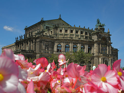 Semperoper mit Blumen Fotos