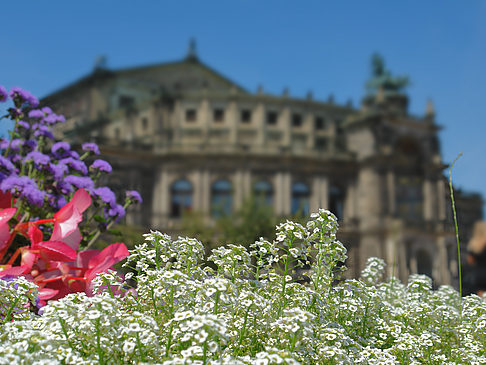 Semperoper mit Blumen Foto 